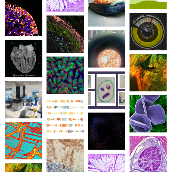 A collage of colourful science images